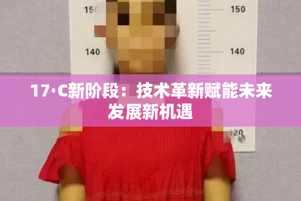 17·C新阶段：技术革新赋能未来发展新机遇
