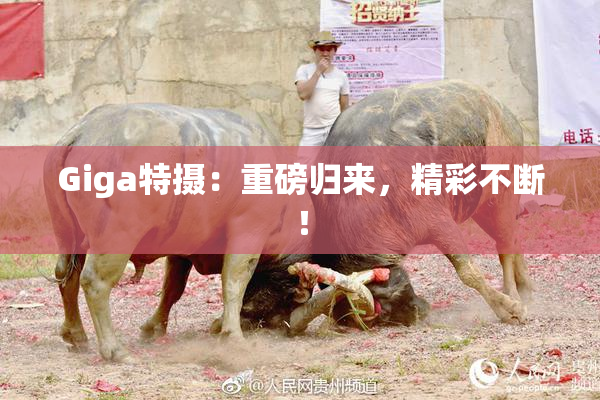 Giga特摄：重磅归来，精彩不断！