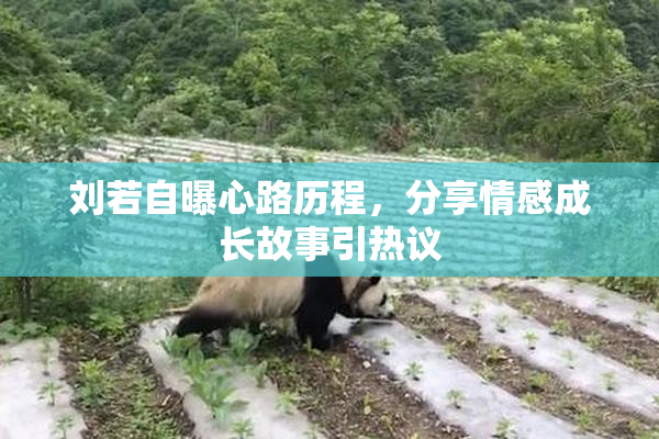 刘若自曝心路历程，分享情感成长故事引热议