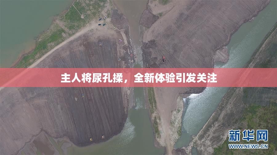 主人将尿孔揉，全新体验引发关注