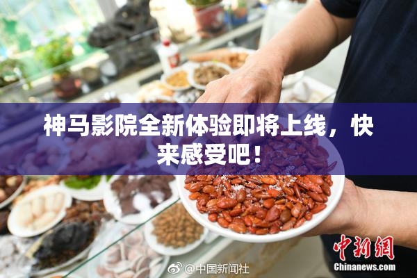 神马影院全新体验即将上线，快来感受吧！