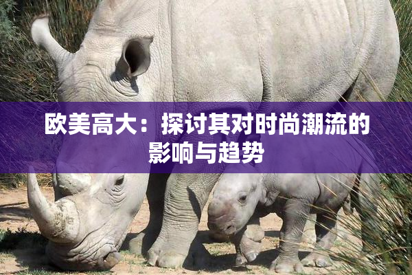 欧美高大：探讨其对时尚潮流的影响与趋势