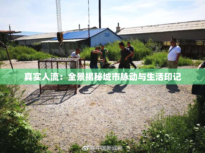 真实人流：全景揭秘城市脉动与生活印记
