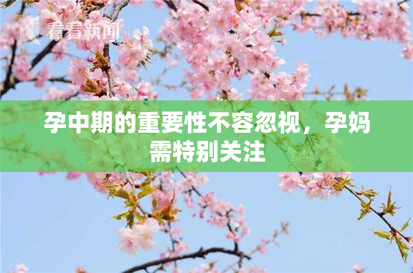 孕中期的重要性不容忽视，孕妈需特别关注