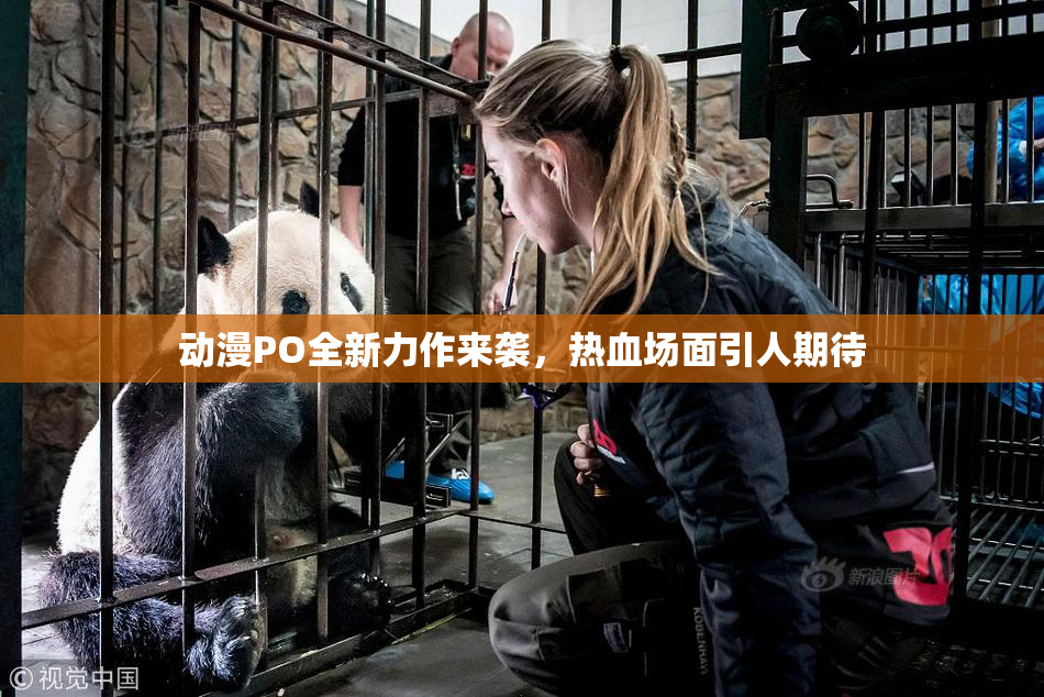 动漫PO全新力作来袭，热血场面引人期待