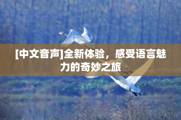 [中文音声]全新体验，感受语言魅力的奇妙之旅
