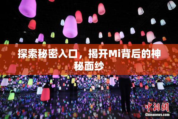 探索秘密入口，揭开Mi背后的神秘面纱