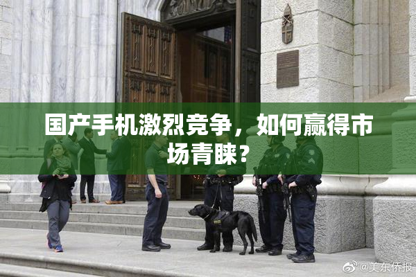 国产手机激烈竞争，如何赢得市场青睐？