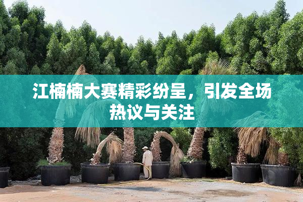 江楠楠大赛精彩纷呈，引发全场热议与关注