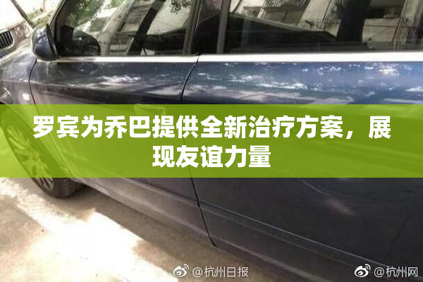 罗宾为乔巴提供全新治疗方案，展现友谊力量