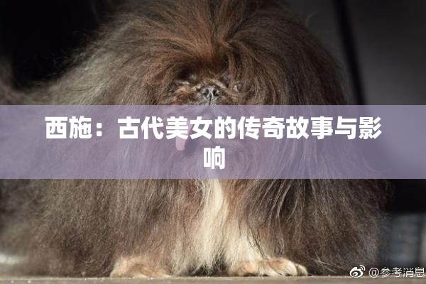 西施：古代美女的传奇故事与影响