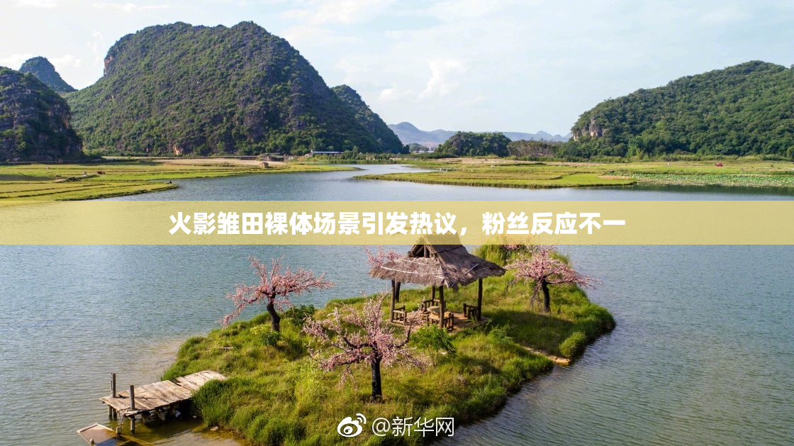 火影雏田裸体场景引发热议，粉丝反应不一