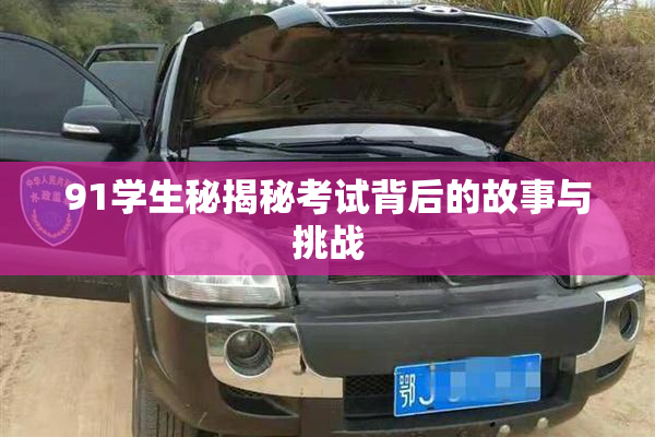 91学生秘揭秘考试背后的故事与挑战