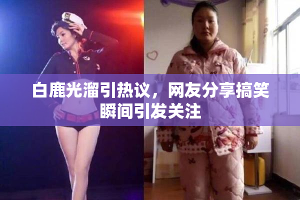 白鹿光溜引热议，网友分享搞笑瞬间引发关注