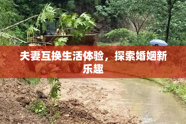 夫妻互换生活体验，探索婚姻新乐趣