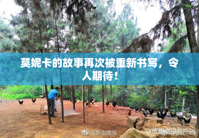 莫妮卡的故事再次被重新书写，令人期待！
