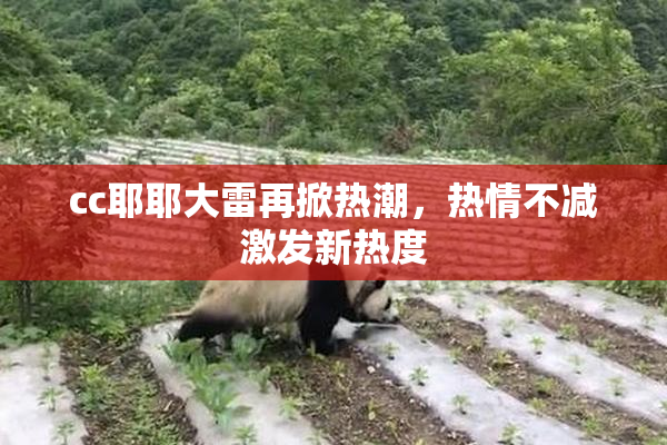 cc耶耶大雷再掀热潮，热情不减激发新热度