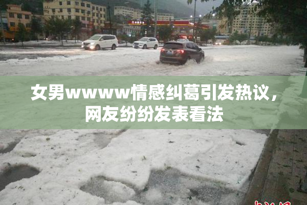 女男wwww情感纠葛引发热议，网友纷纷发表看法