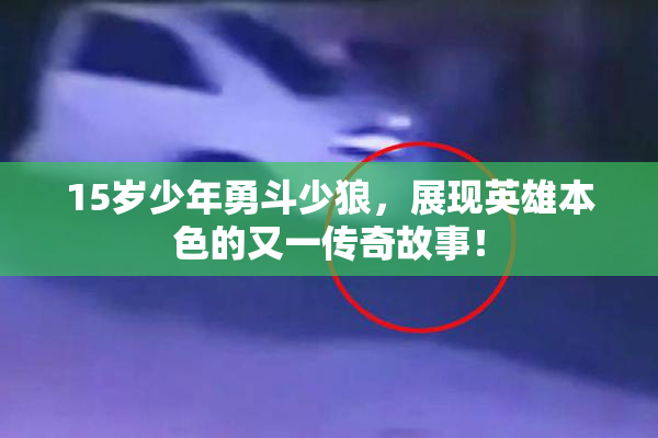 15岁少年勇斗少狼，展现英雄本色的又一传奇故事！