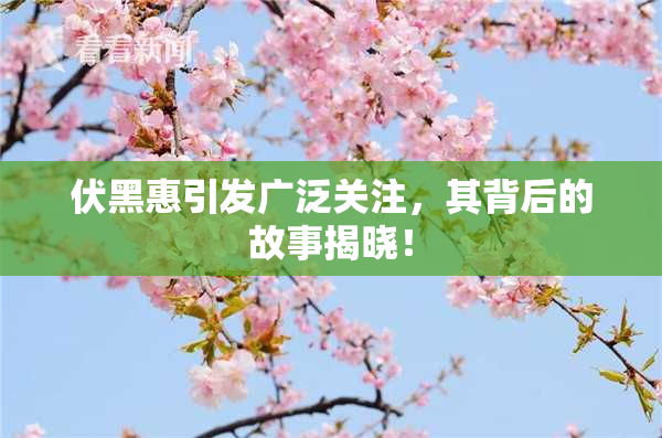 伏黑惠引发广泛关注，其背后的故事揭晓！