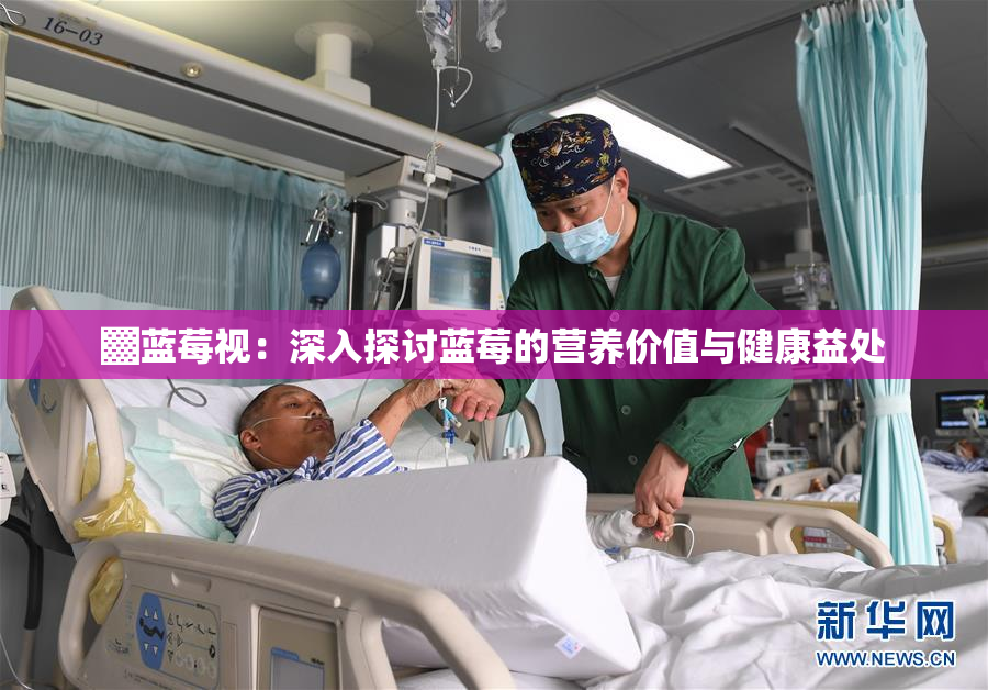 ▓蓝莓视：深入探讨蓝莓的营养价值与健康益处