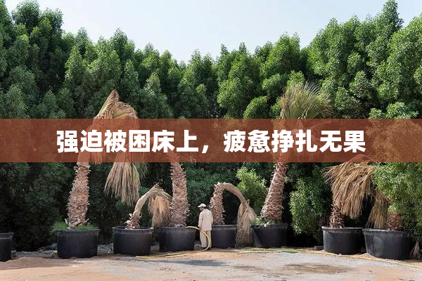 强迫被困床上，疲惫挣扎无果