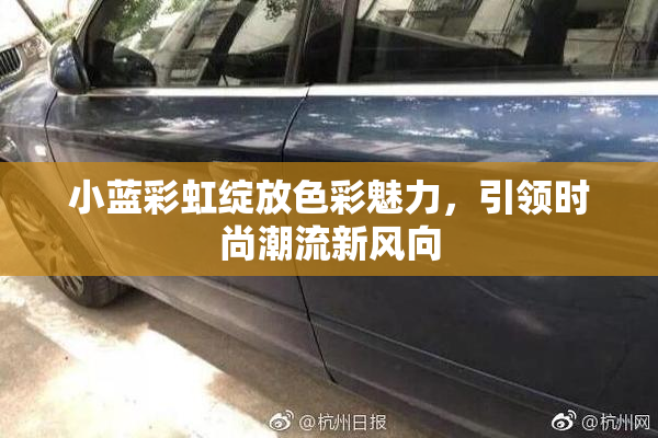 小蓝彩虹绽放色彩魅力，引领时尚潮流新风向