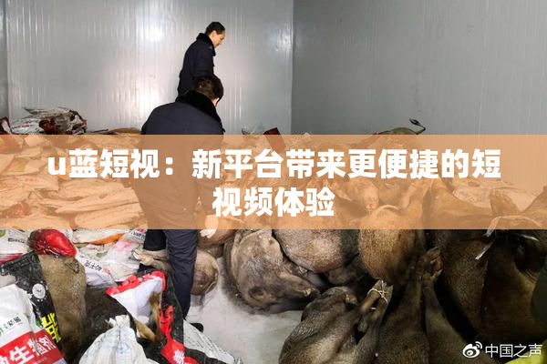 u蓝短视：新平台带来更便捷的短视频体验