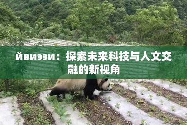 йвиэзи：探索未来科技与人文交融的新视角