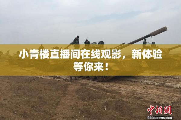 小青楼直播间在线观影，新体验等你来！