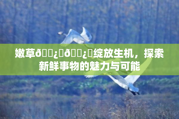 嫩草🌿‌🌿‌绽放生机，探索新鲜事物的魅力与可能