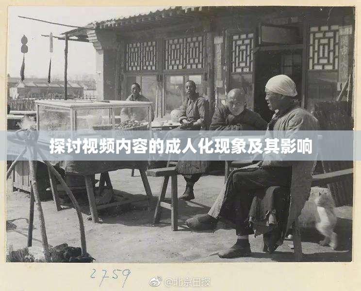 探讨视频内容的成人化现象及其影响