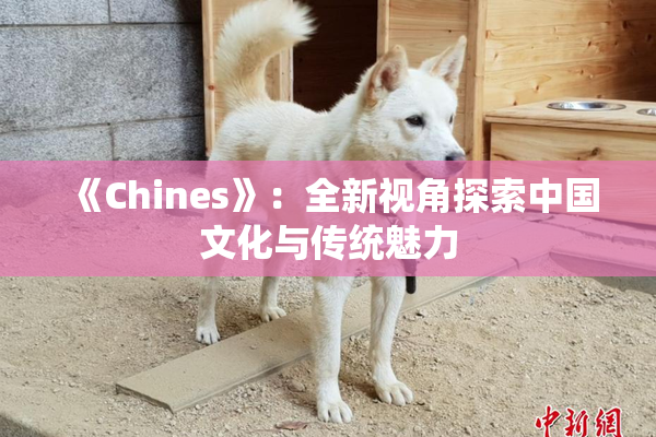《Chines》：全新视角探索中国文化与传统魅力