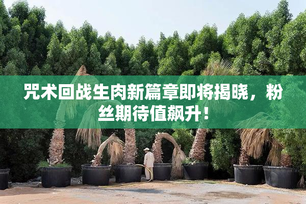 咒术回战生肉新篇章即将揭晓，粉丝期待值飙升！
