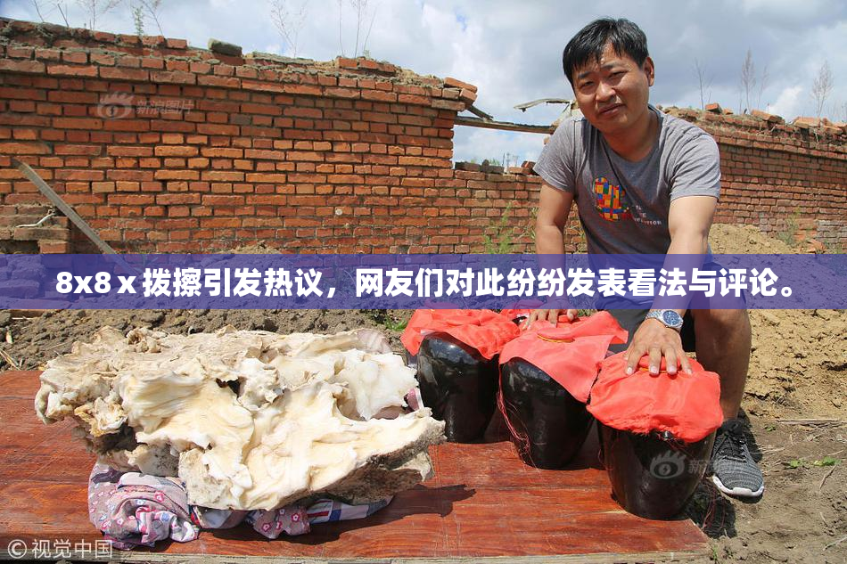 8x8ⅹ拨擦引发热议，网友们对此纷纷发表看法与评论。