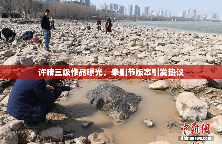 许晴三级作品曝光，未删节版本引发热议