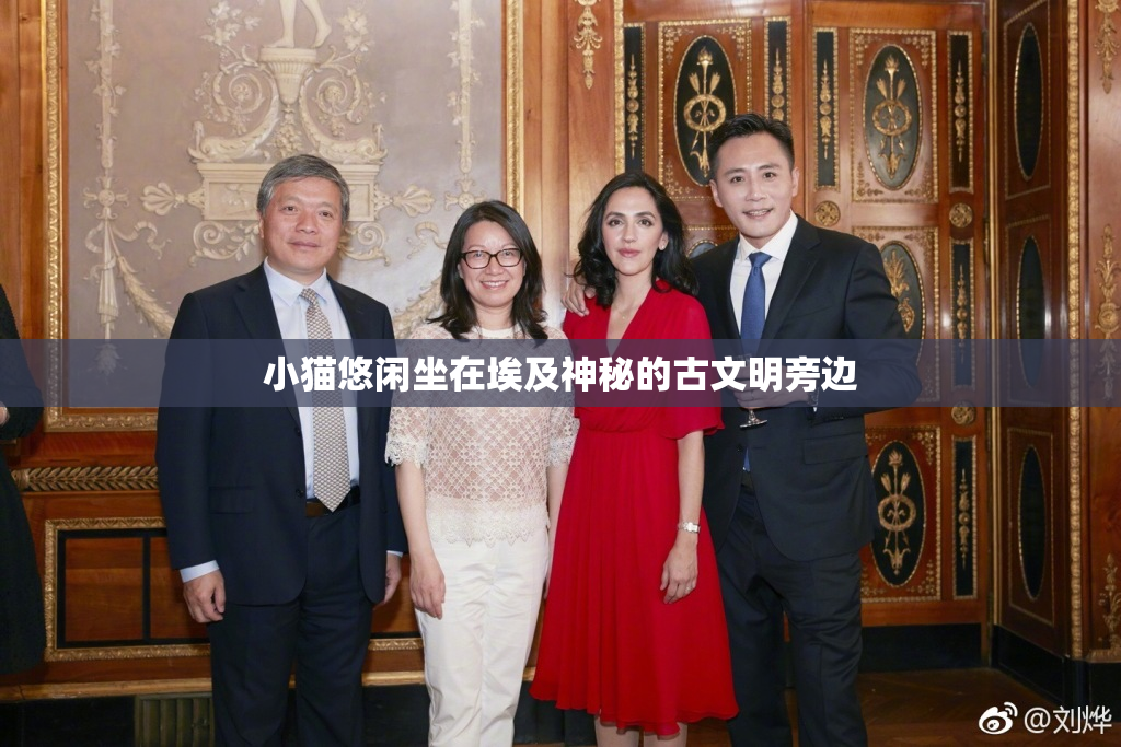 小猫悠闲坐在埃及神秘的古文明旁边