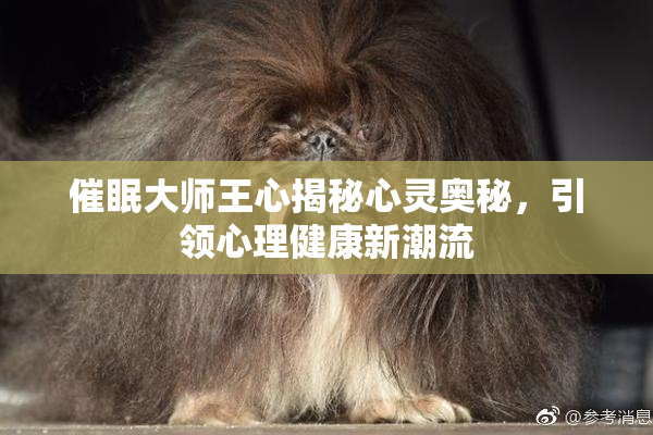 催眠大师王心揭秘心灵奥秘，引领心理健康新潮流