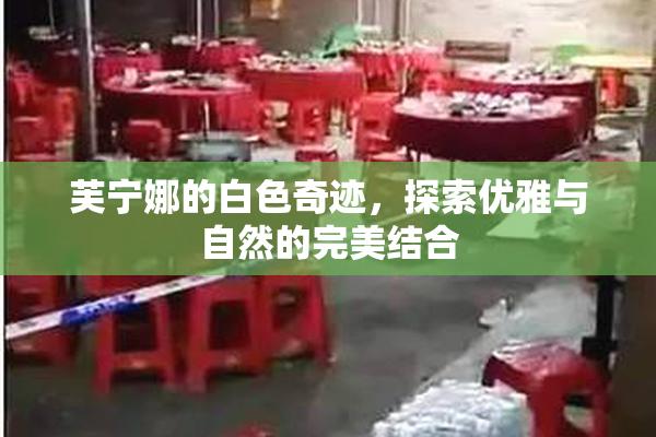 芙宁娜的白色奇迹，探索优雅与自然的完美结合
