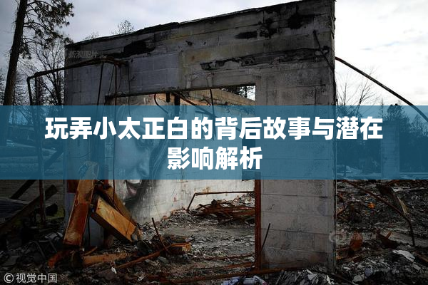 玩弄小太正白的背后故事与潜在影响解析