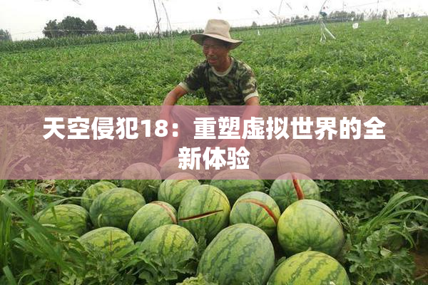 天空侵犯18：重塑虚拟世界的全新体验