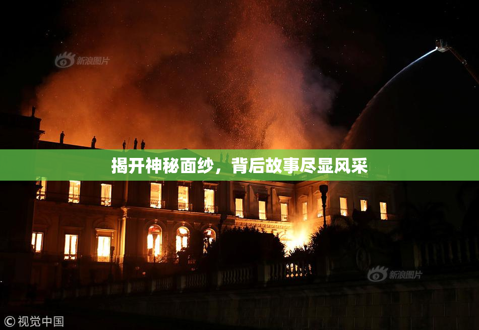 揭开神秘面纱，背后故事尽显风采