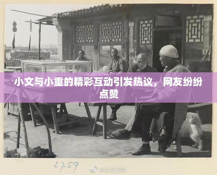 小文与小重的精彩互动引发热议，网友纷纷点赞