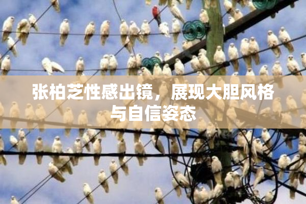 张柏芝性感出镜，展现大胆风格与自信姿态