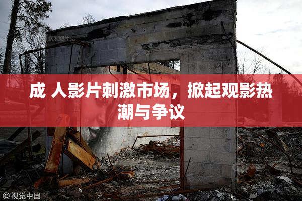 成 人影片刺激市场，掀起观影热潮与争议