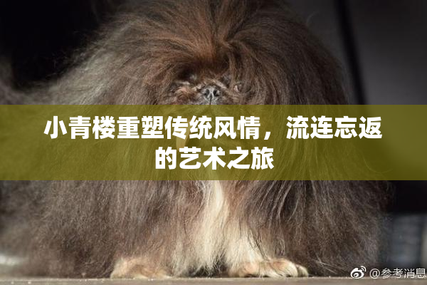 小青楼重塑传统风情，流连忘返的艺术之旅