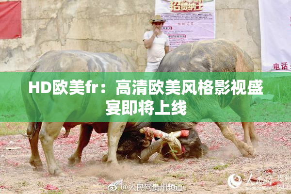HD欧美fr：高清欧美风格影视盛宴即将上线
