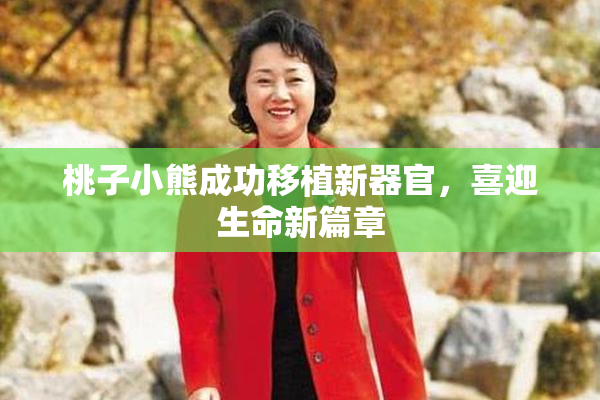 桃子小熊成功移植新器官，喜迎生命新篇章