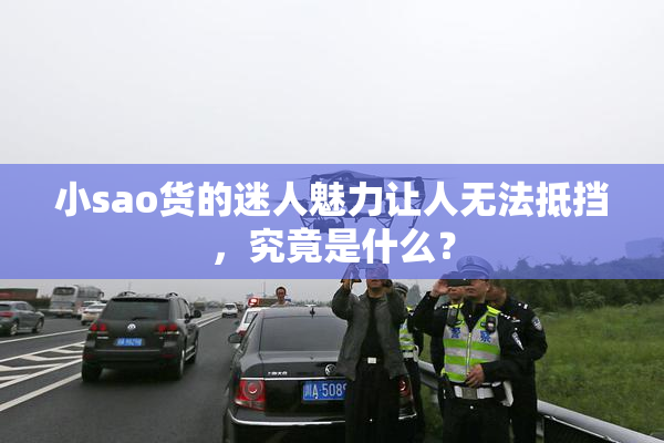 小sao货的迷人魅力让人无法抵挡，究竟是什么？