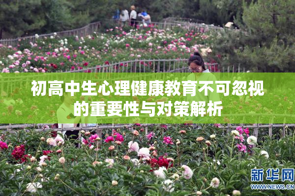 初高中生心理健康教育不可忽视的重要性与对策解析